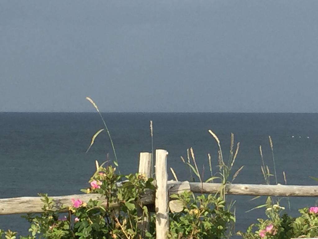 Les Cabines Sur Mer Cap-des-Rosiers Buitenkant foto